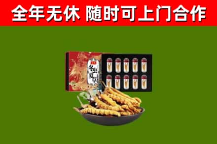 平南县回收冬虫夏草价格