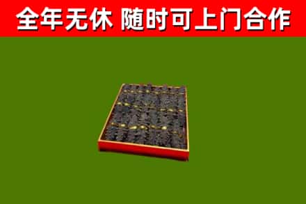 平南县回收海参